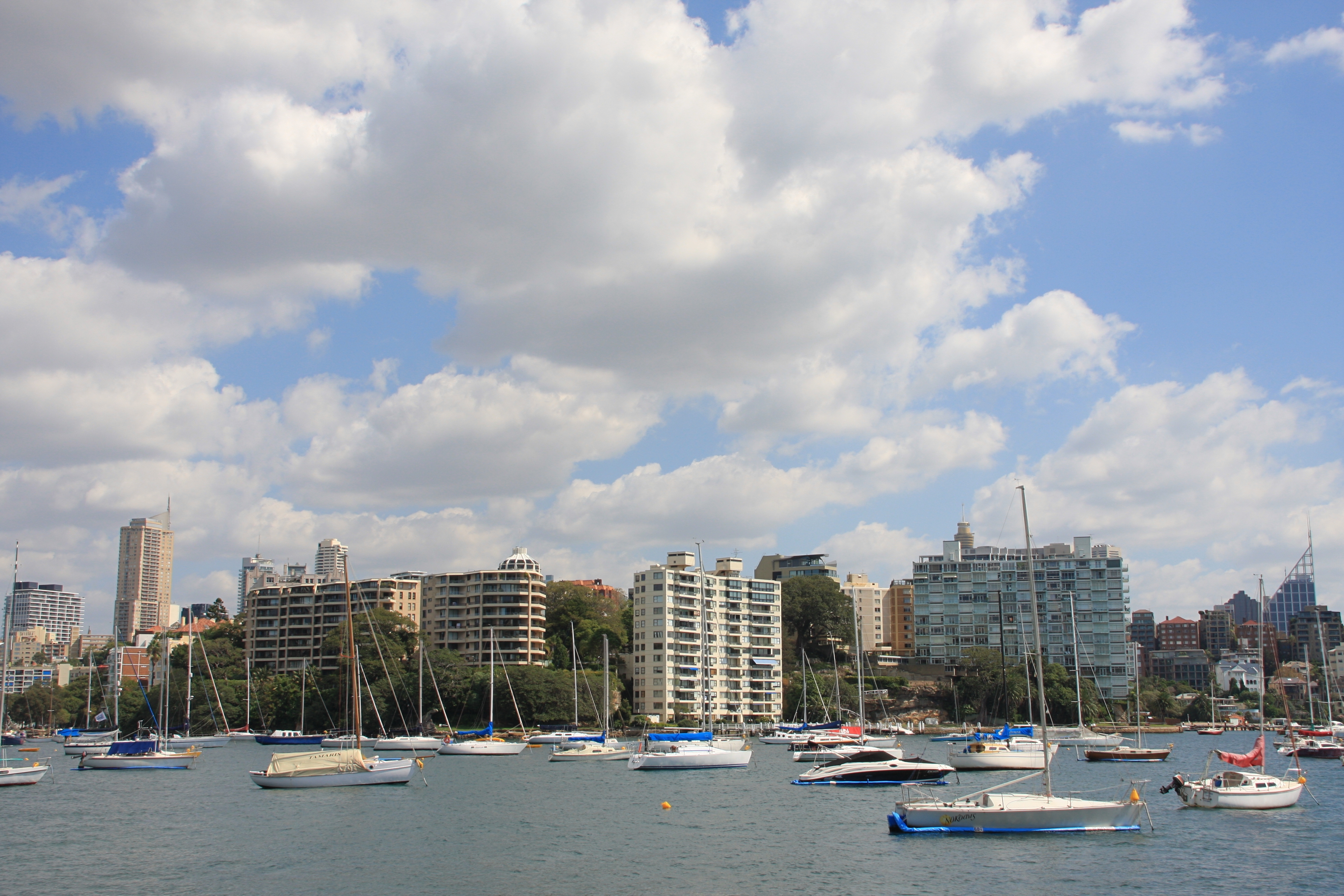 Elizabeth Bay — illustration