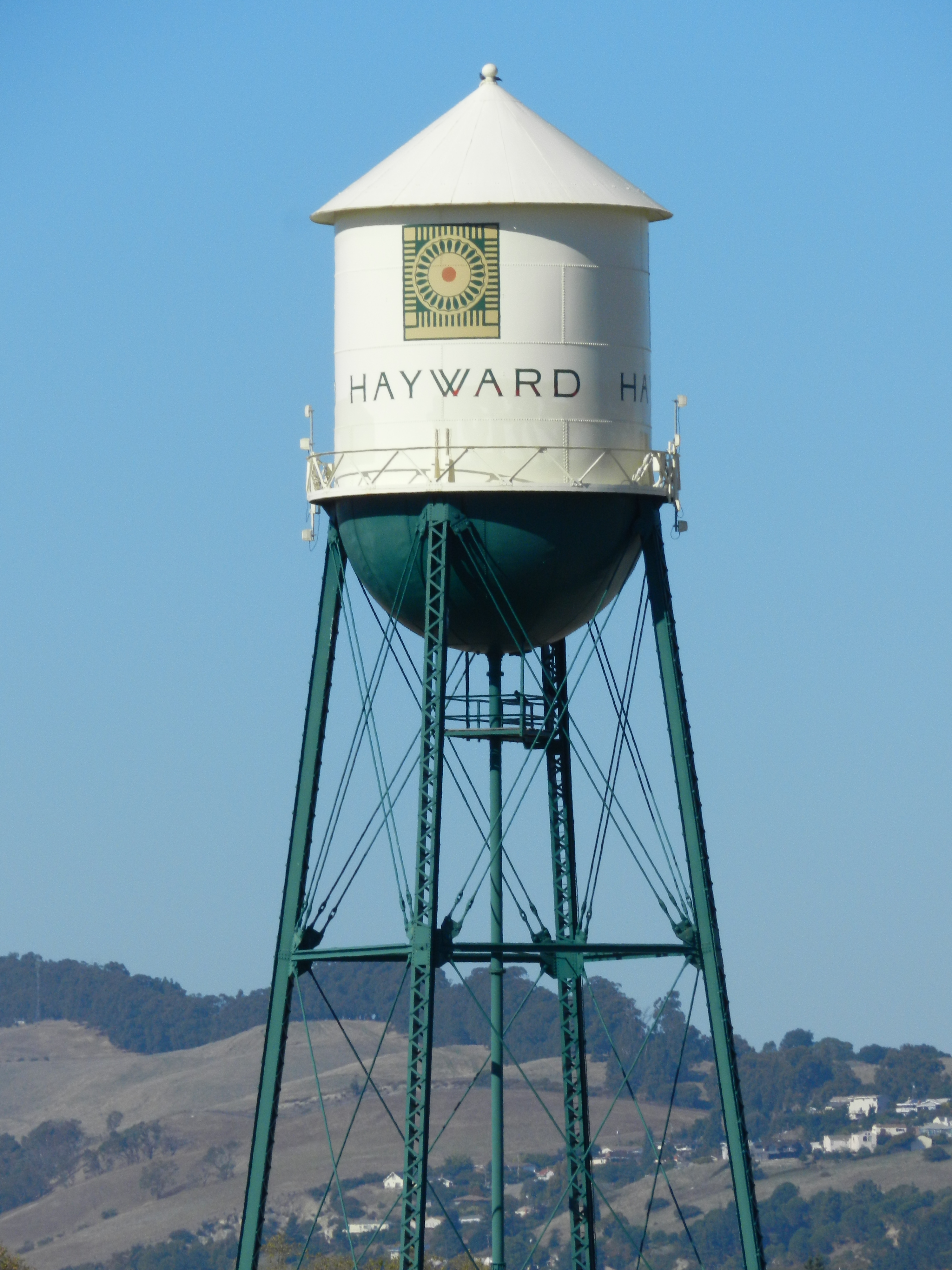 Hayward — illustration