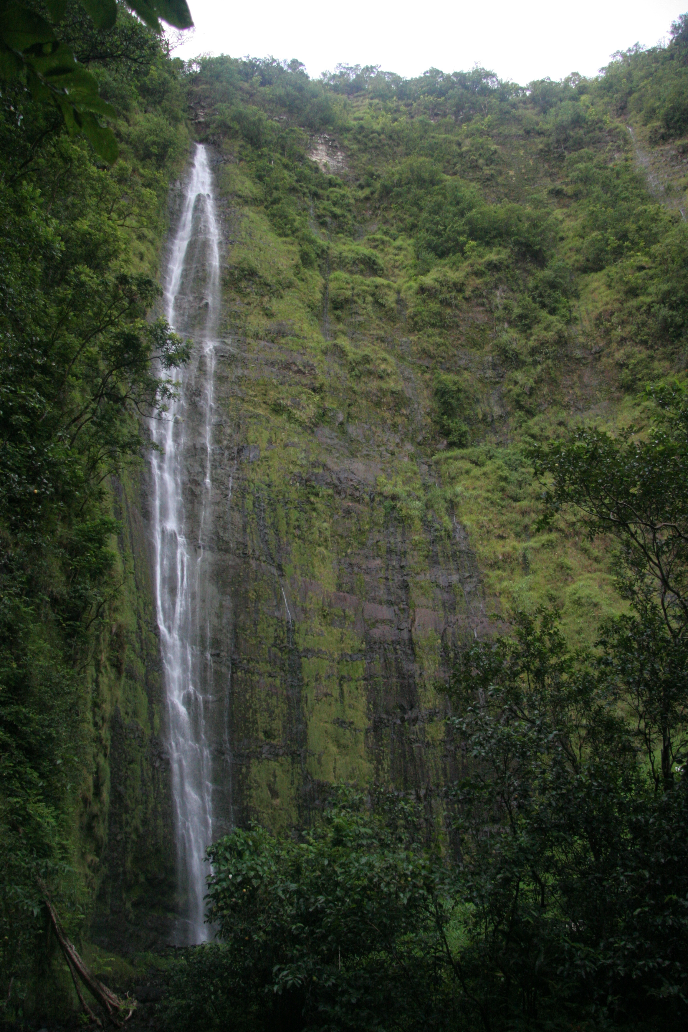 Kipahulu — illustration