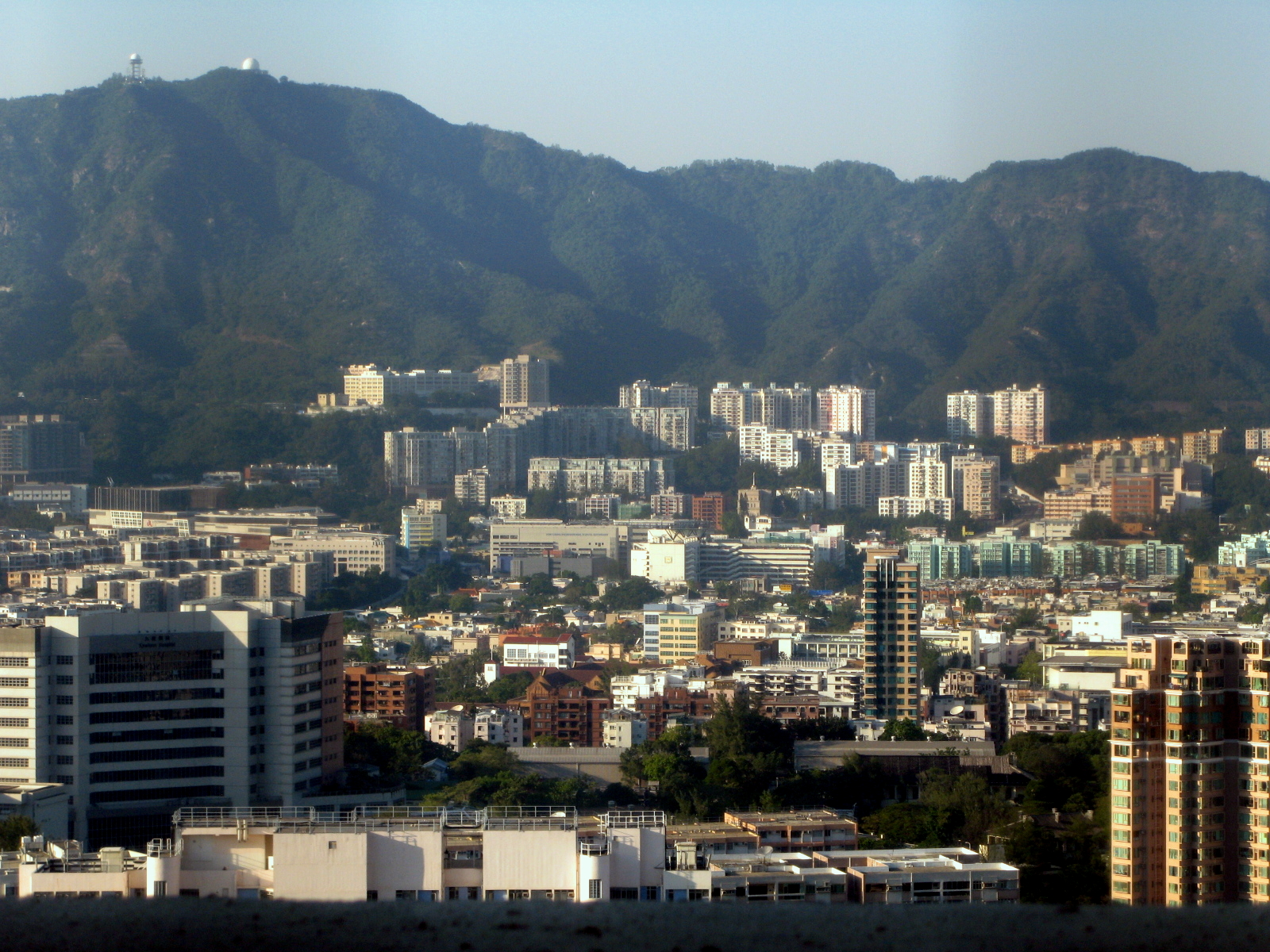 Kowloon Tong — illustration