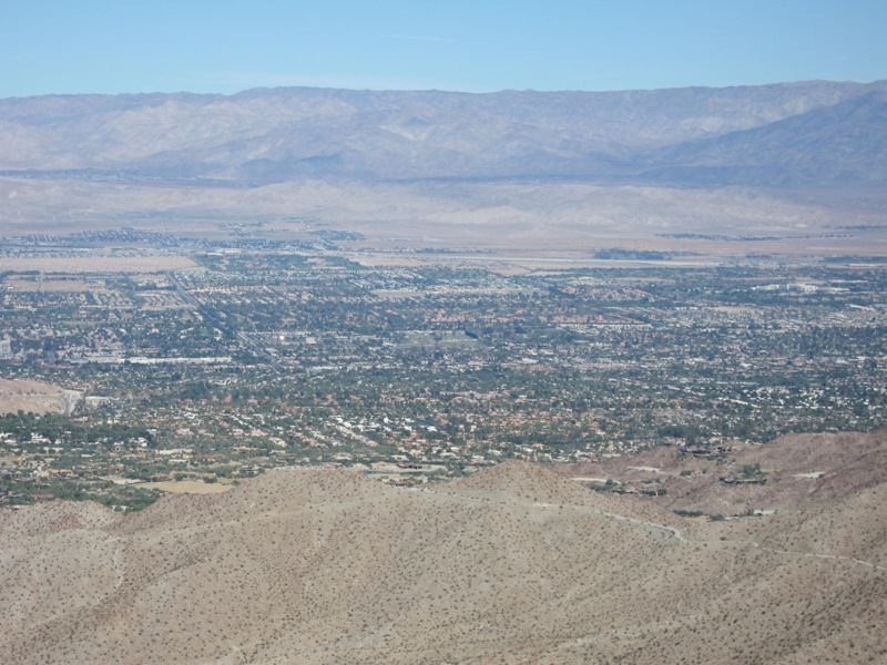 Palm Desert — illustration