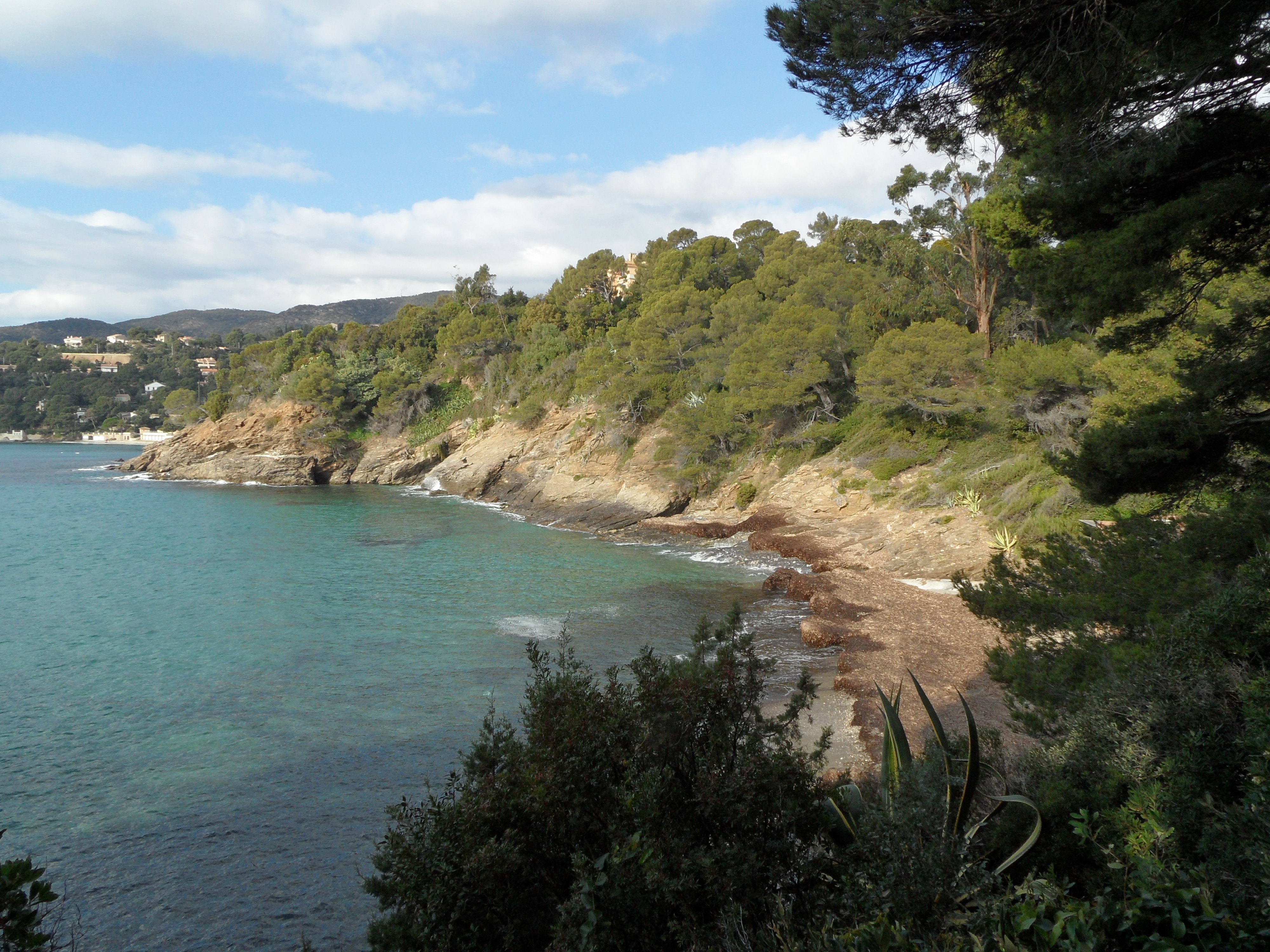 Rayol-Canadel-sur-Mer — illustration