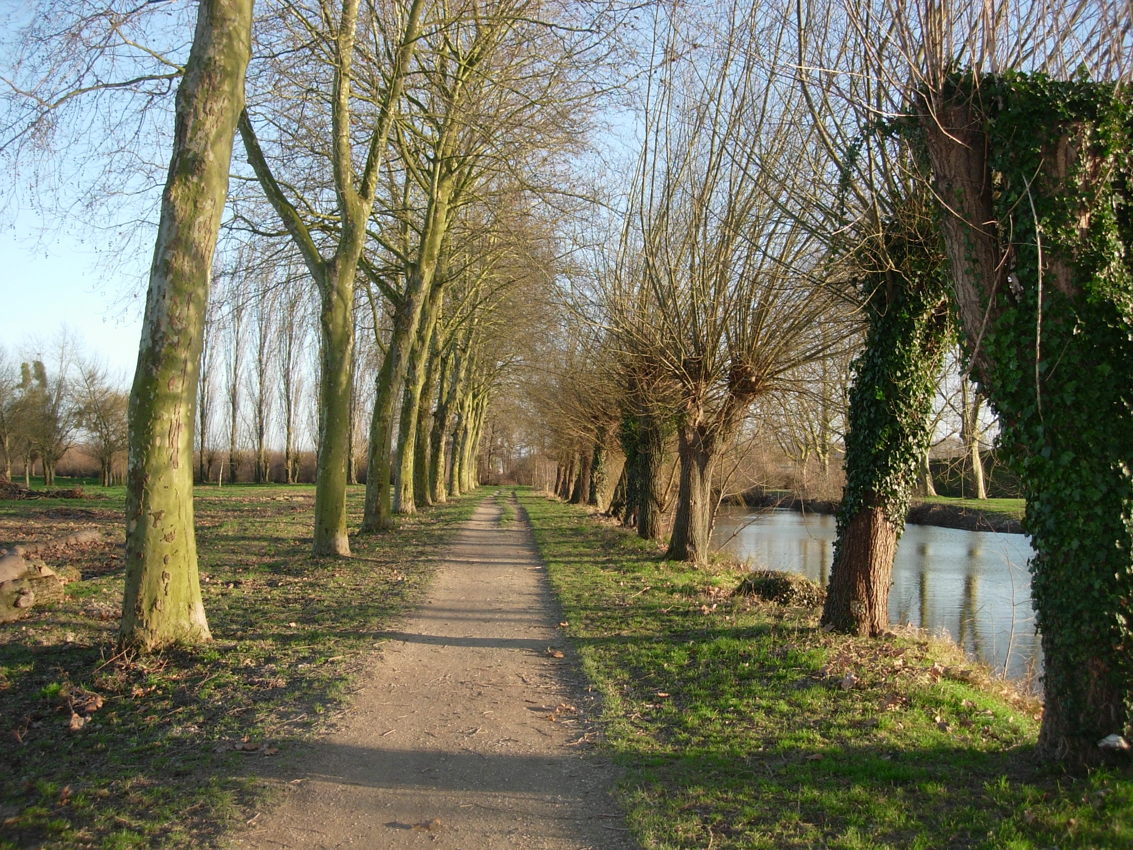 Romilly-sur-Seine — illustration