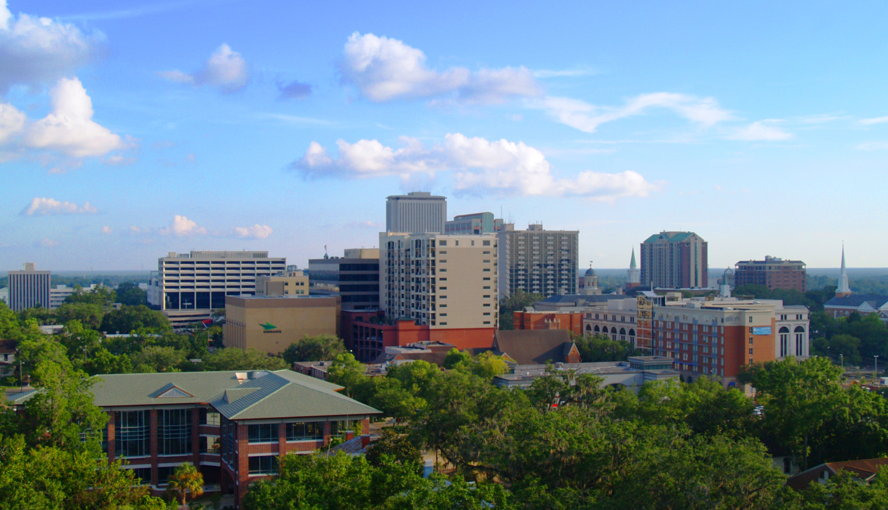 Tallahassee — illustration