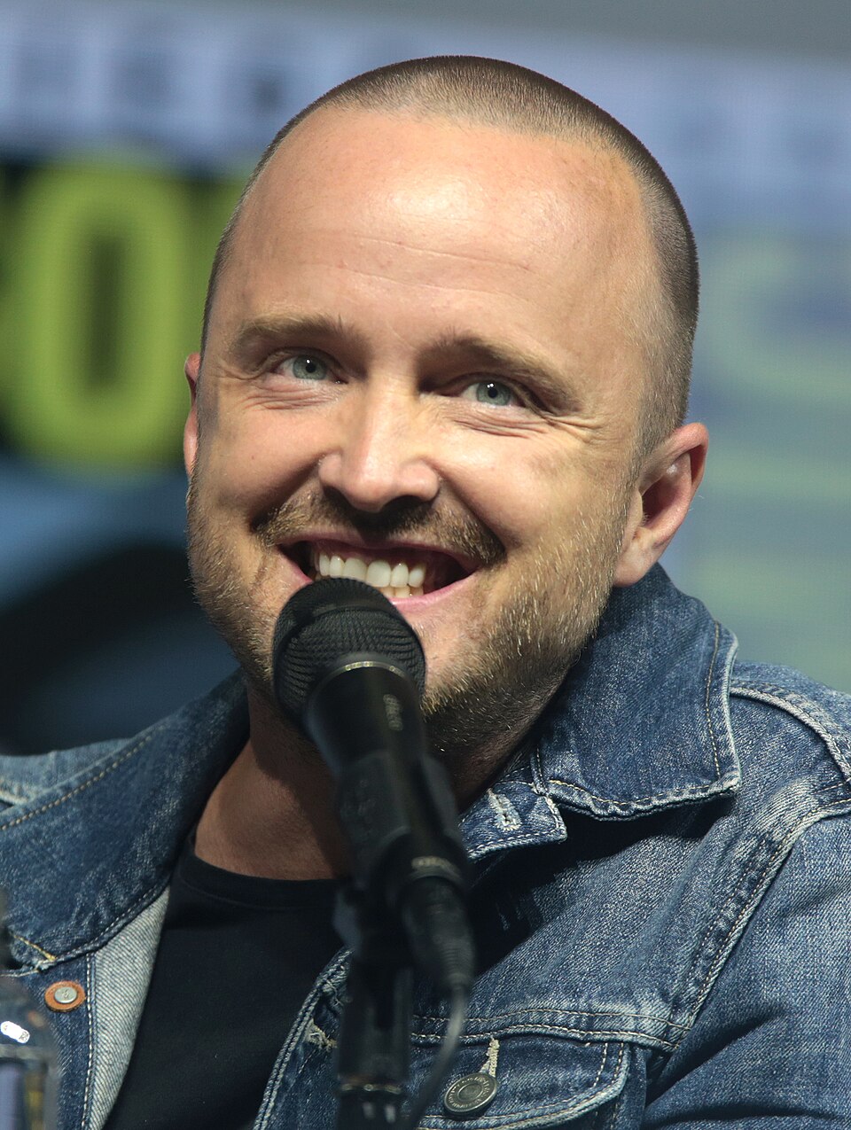 Aaron  Paul