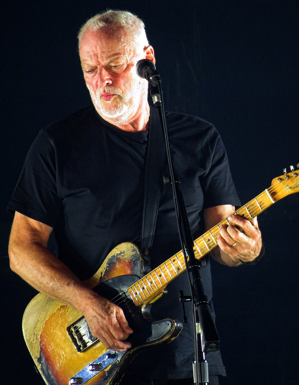 David  Gilmour