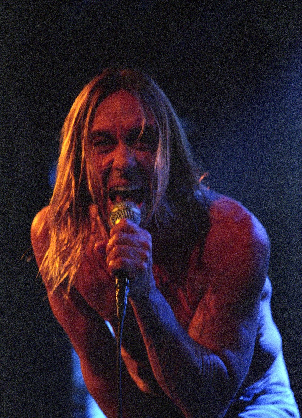Iggy  Pop