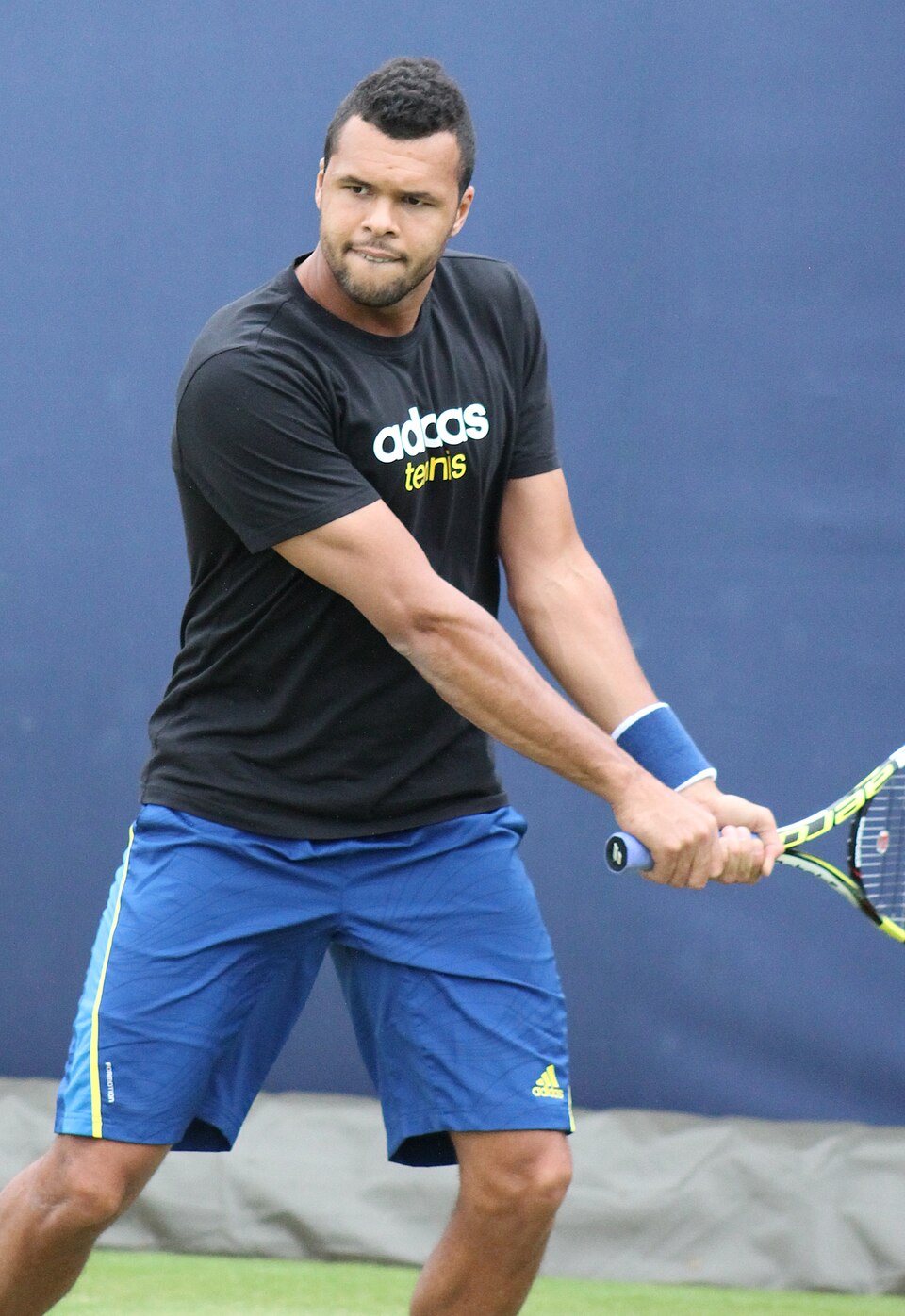 Jo-Wilfried  Tsonga