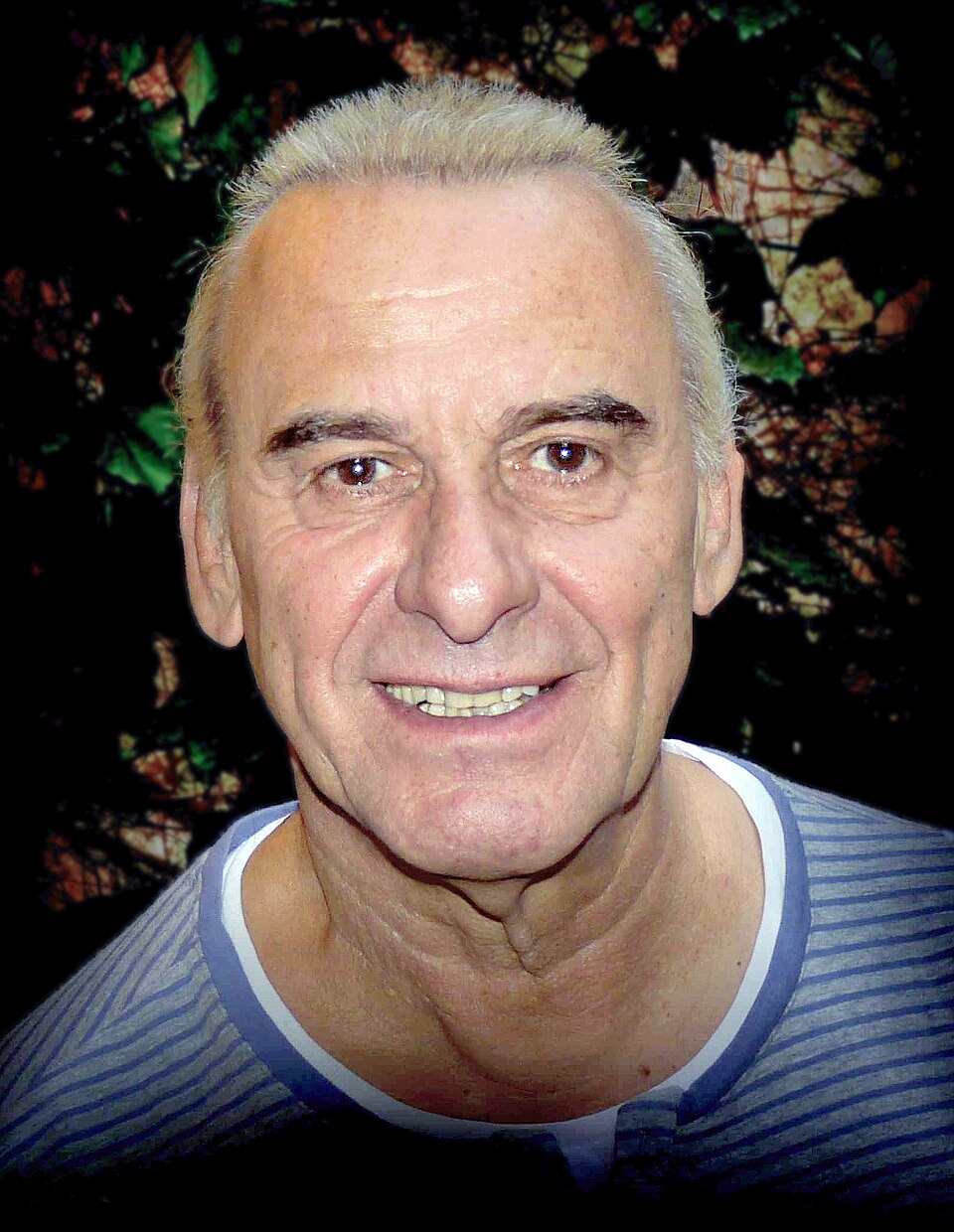 Michel  Fugain