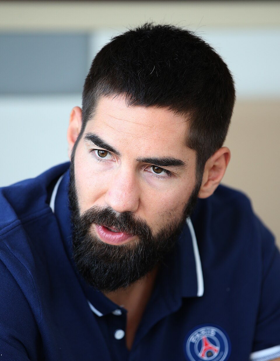 Nikola  Karabatic