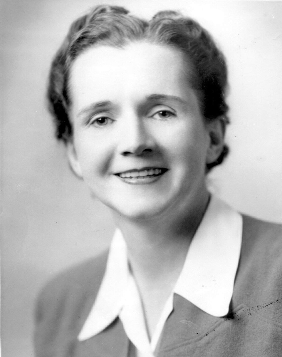 Rachel  Carson