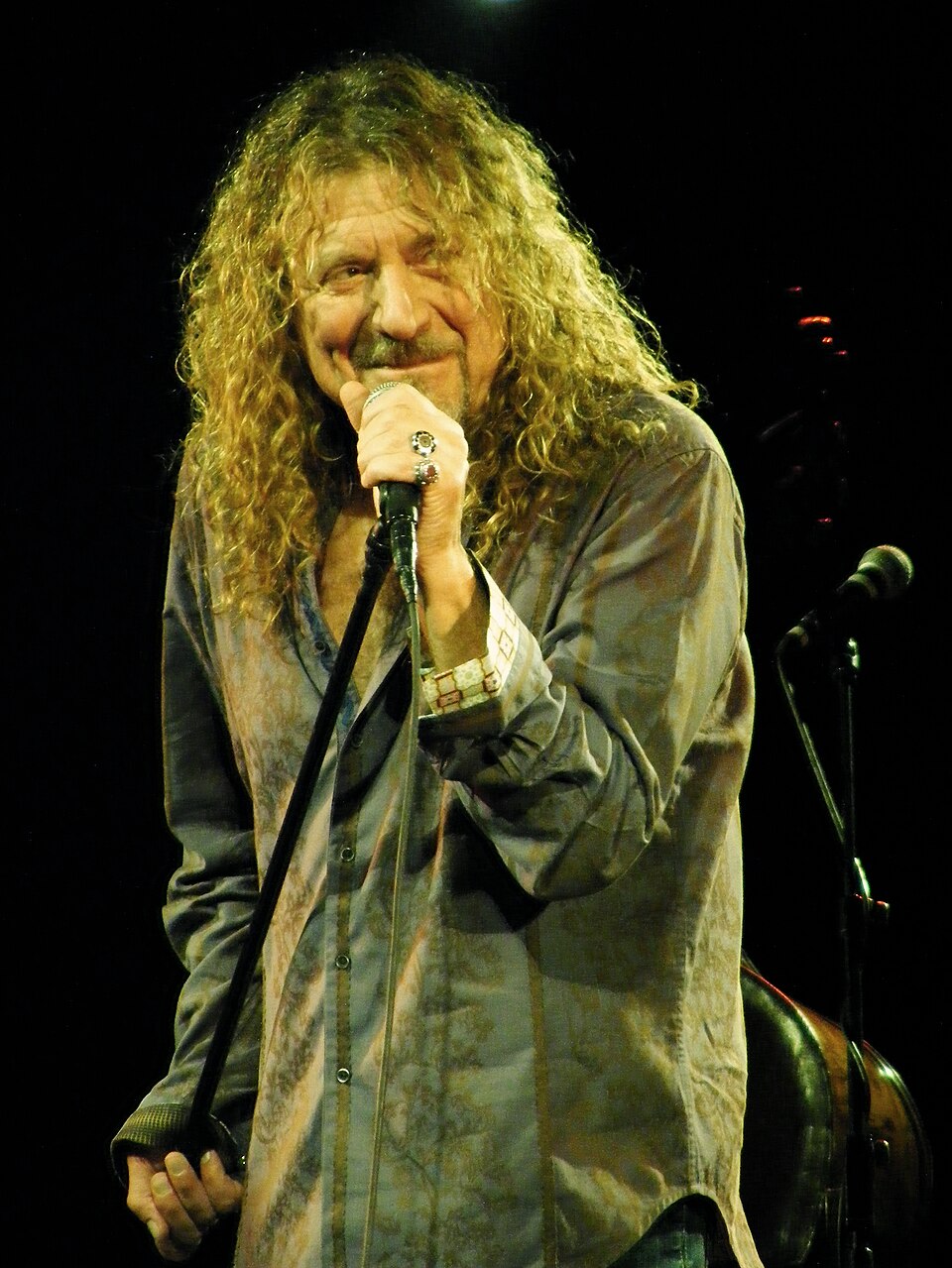 Robert  Plant