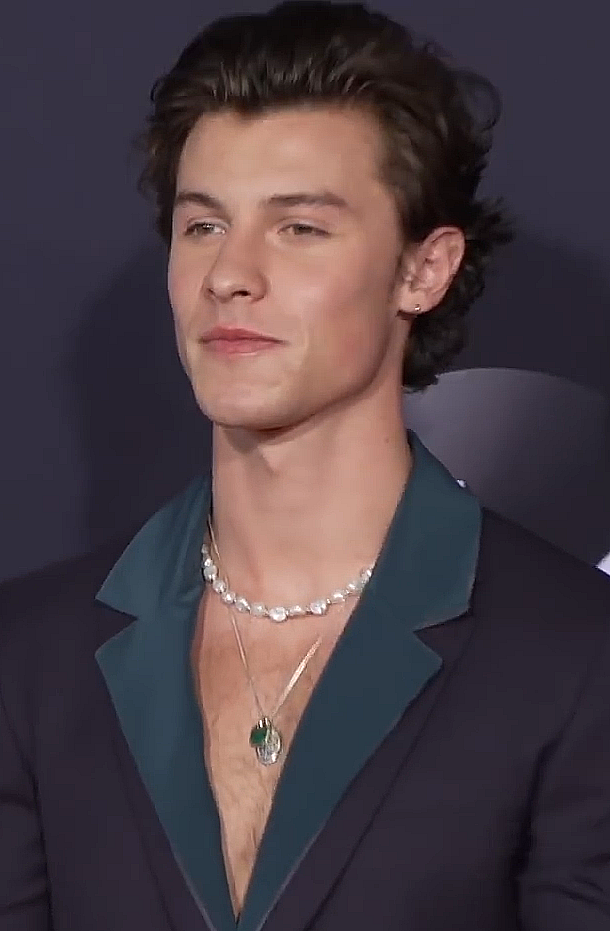 Shawn  Mendes