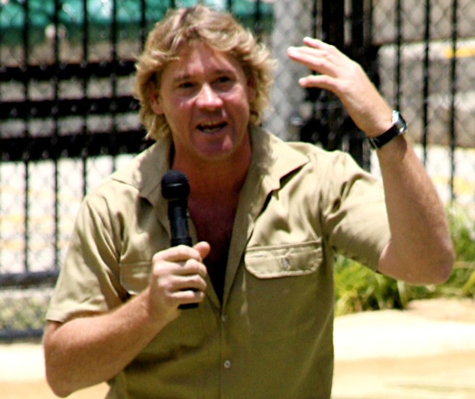 Steve  Irwin